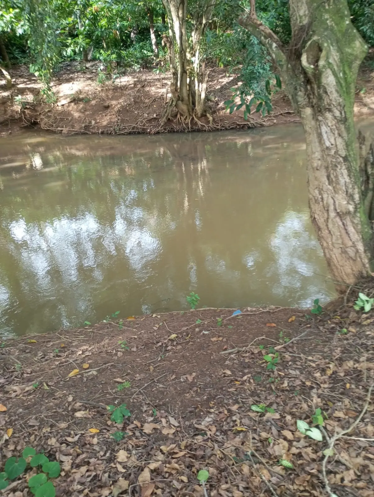 Lago e pesqueiro do terreno em Aracruz