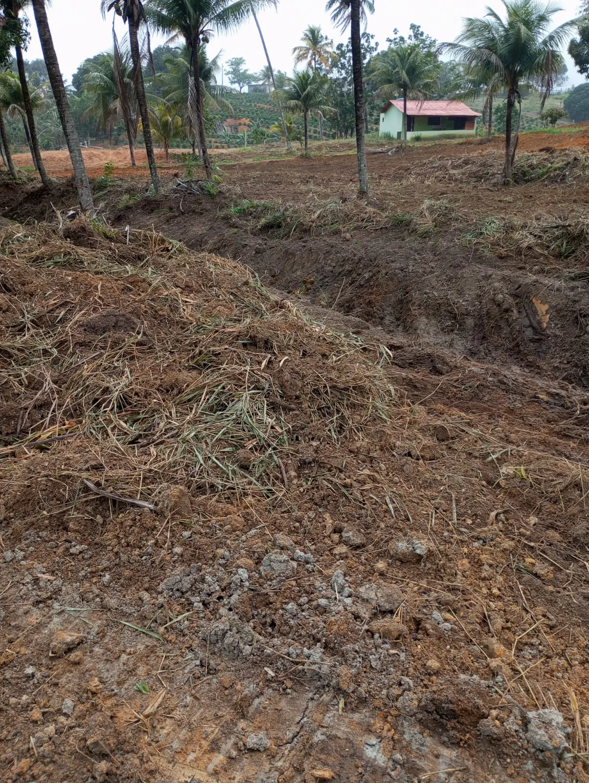 Vista adicional do terreno em Pedro Palácio